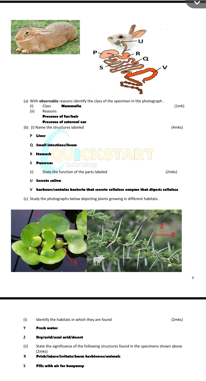 No preview available